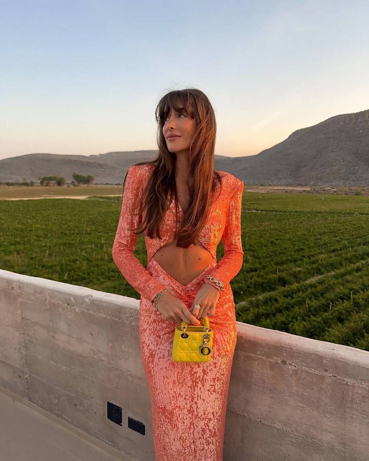 Julie Sergent Ferreri