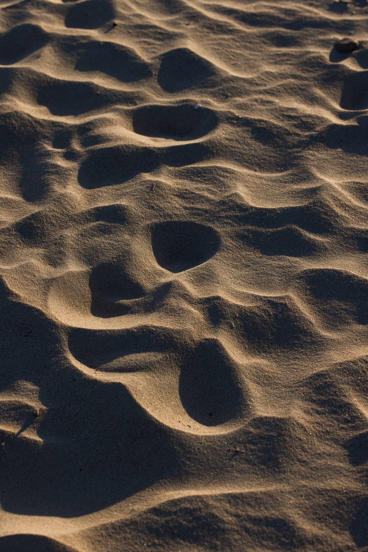 Plaża w Sopocie