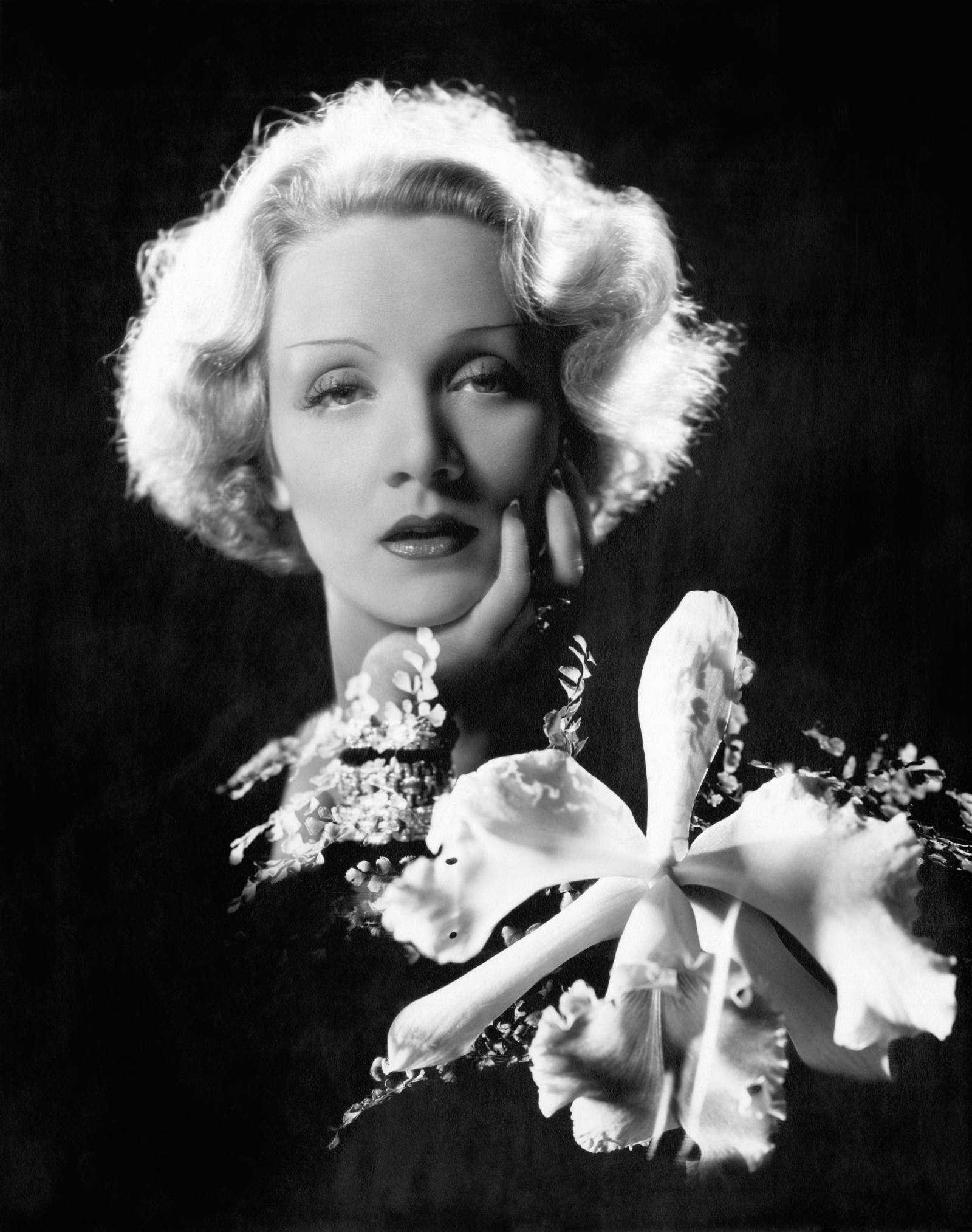 Fot. Cecil Beaton, aktorka Marlena Dietrich, Vanity Fair, 1932© Condé Nast