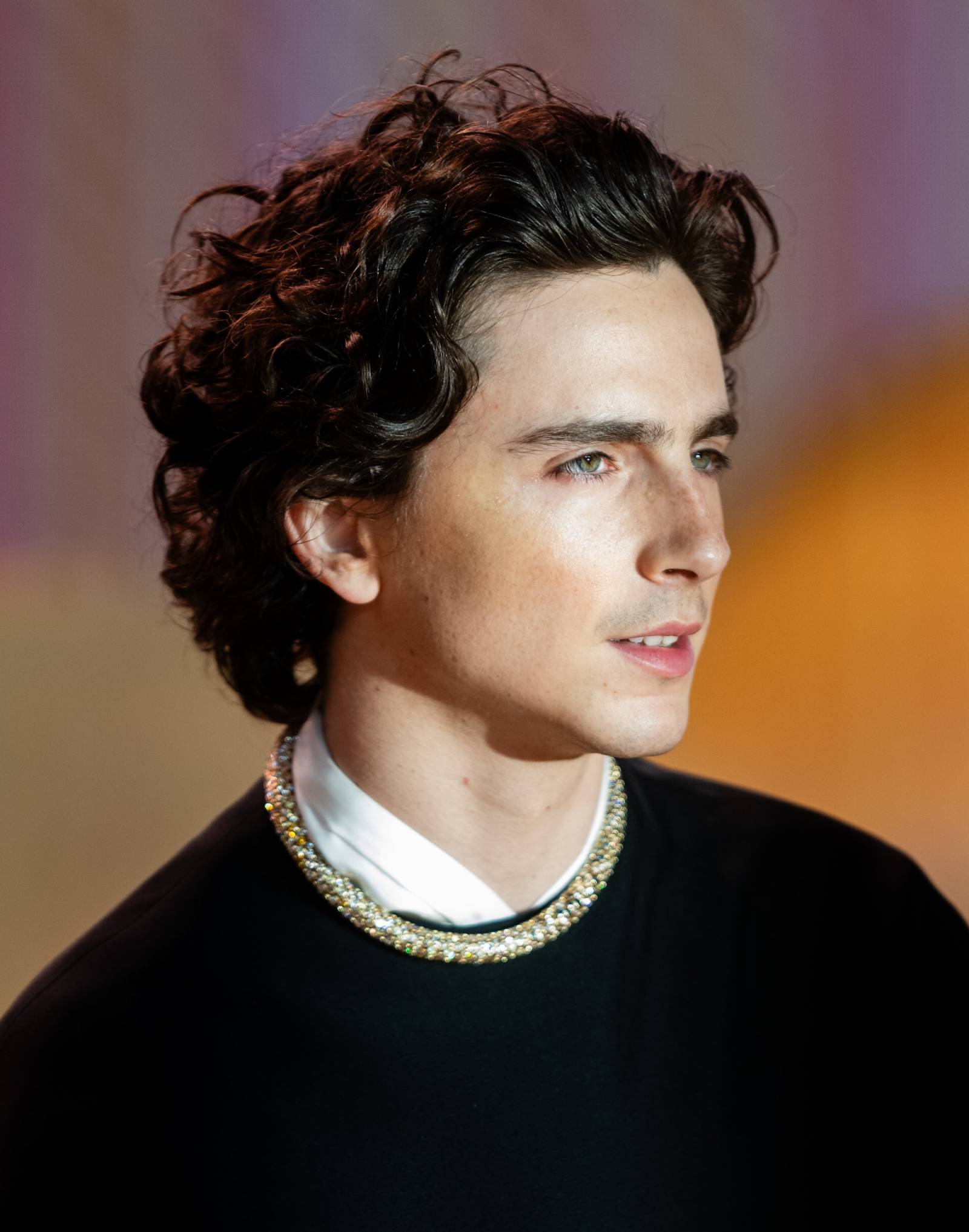 Timothée Chalamet gra Paula Atrydę w drugiej części „Diuny” (Fot. Getty Images)