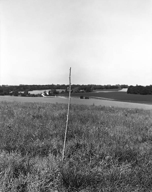 Anna Zvyagintseva, To Plant A Stick, The Naked Room, Fot. Materiały prasowe