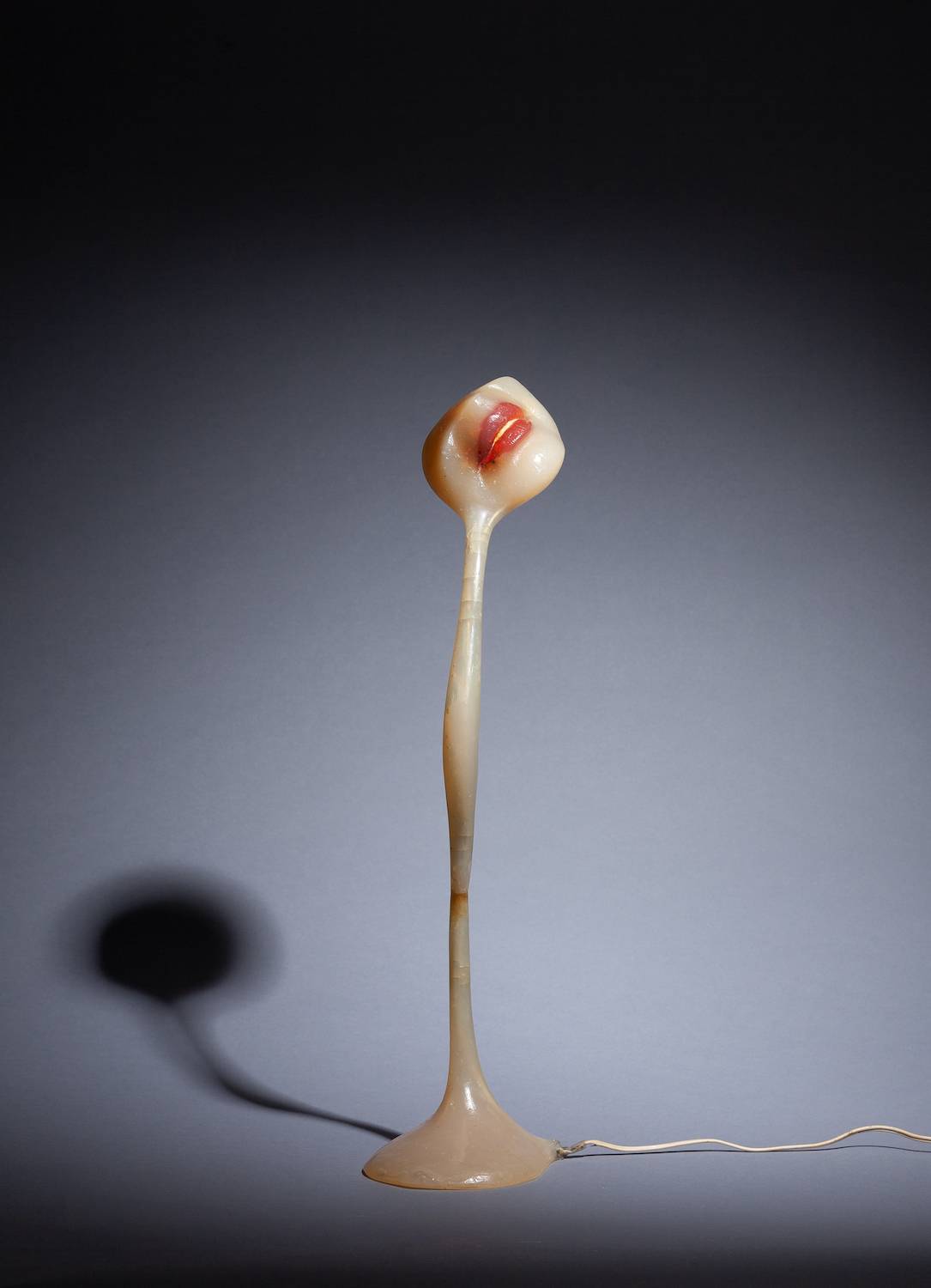 Alina Szapocznikow_Lampe-bouche I (Usta iluminowane I), 1967, Fot. Materiały prasowe