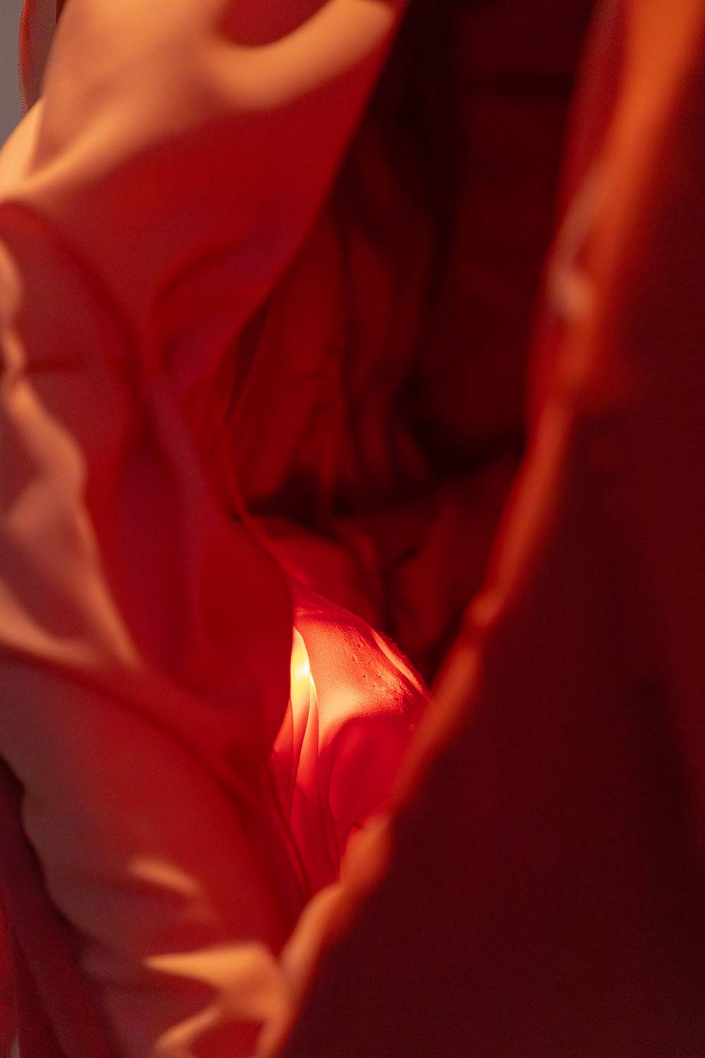 Fot. Alicja Kielan