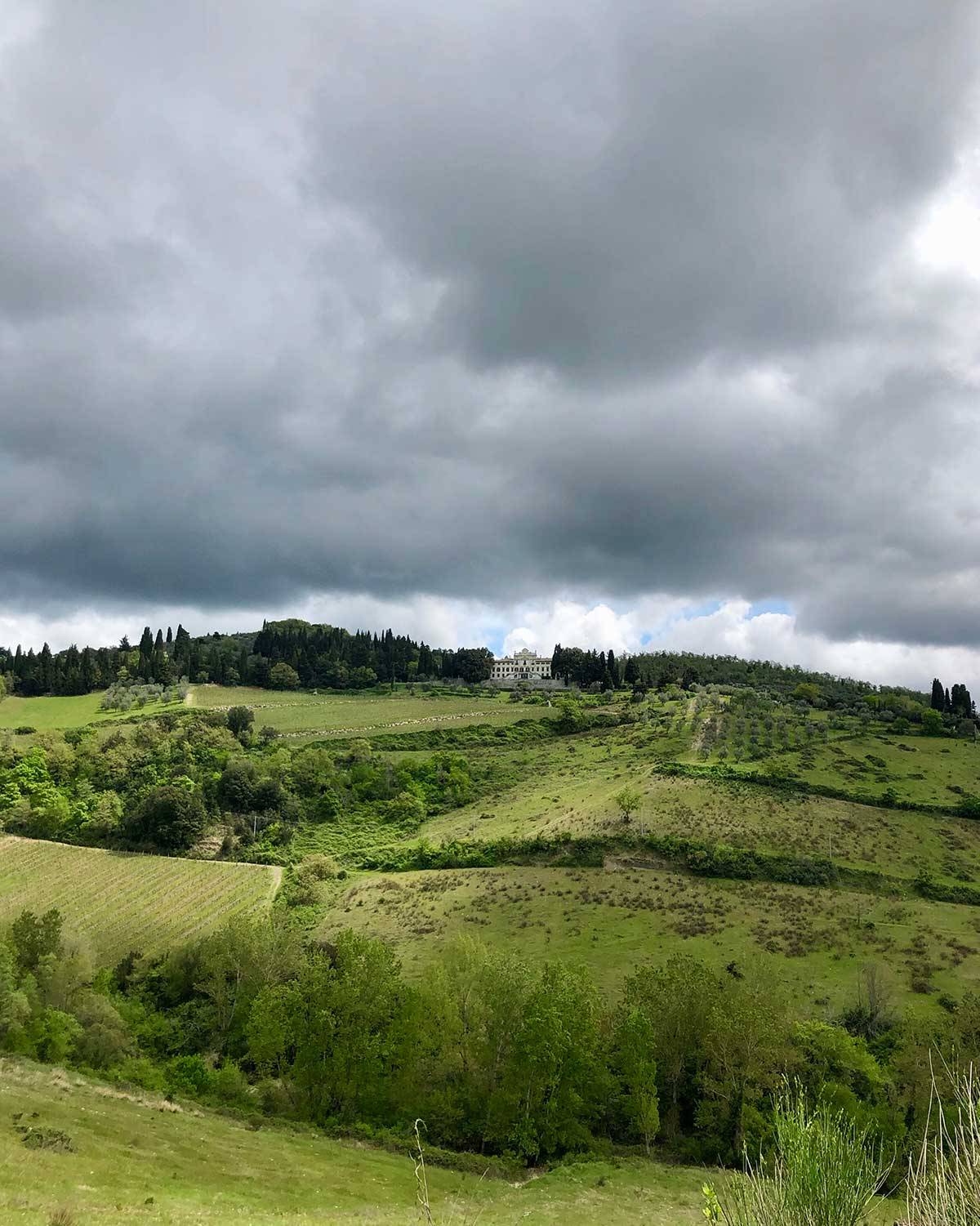 Chianti (Fot. Urszula Zwiefka)