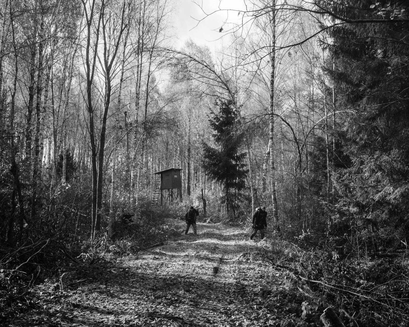 Fot. Karol Grygoruk