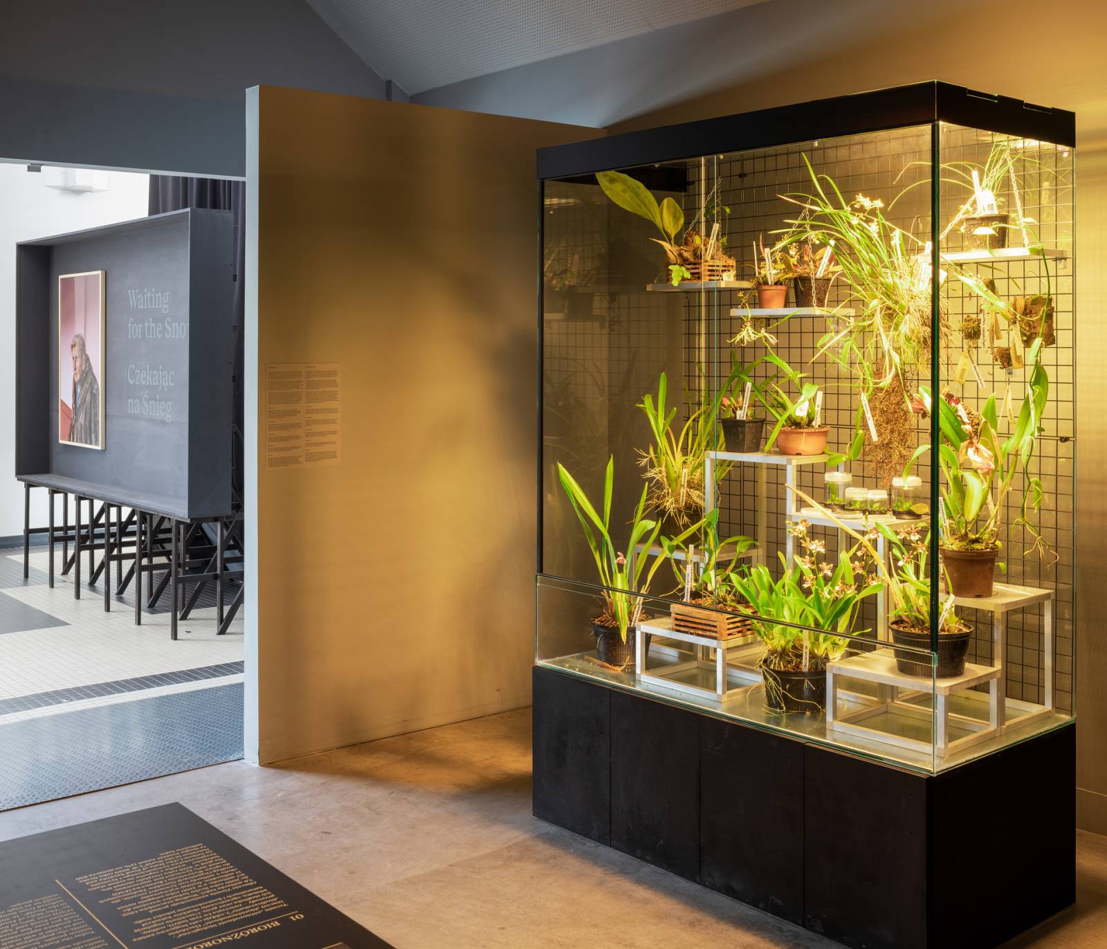 Muzeum Emigracji w Gdyni/Fot. Maciej Leszczyński/ materiały prasowe