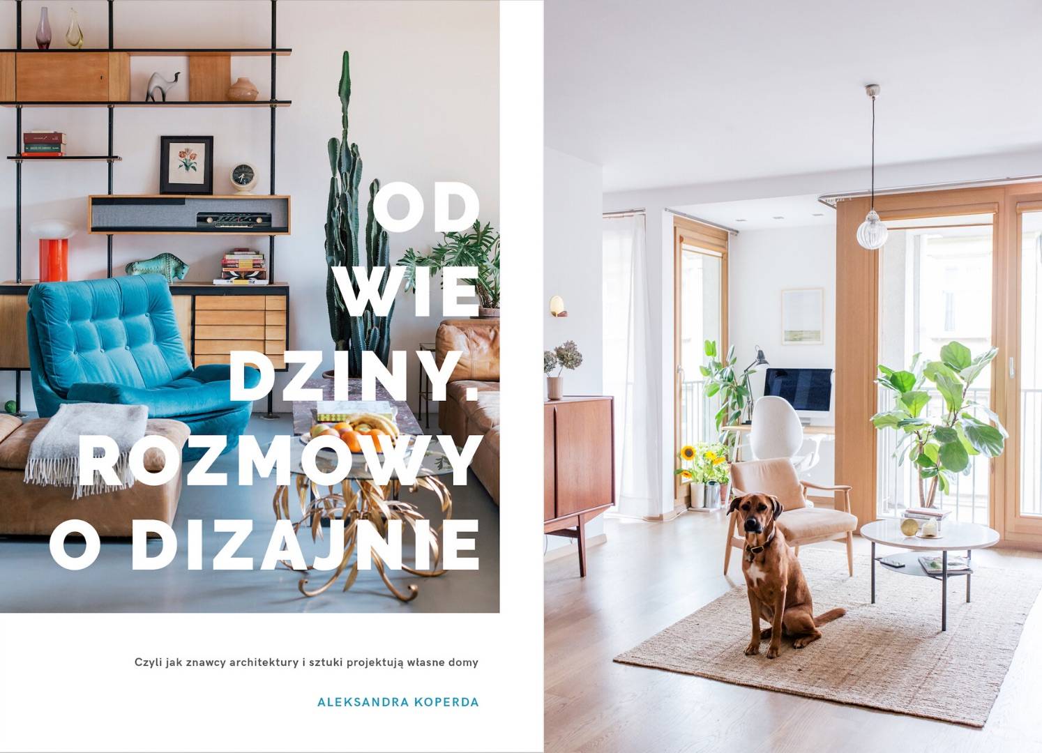 (Fot. materiały prasowe)