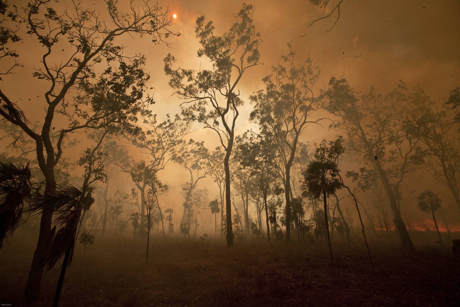 Fot. Getty Images