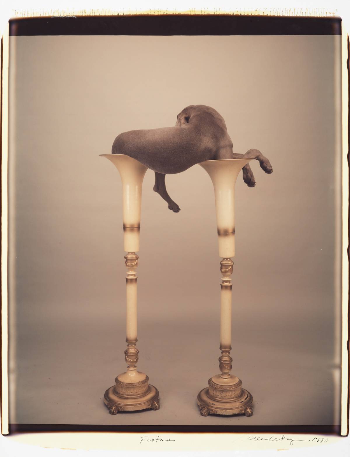 William Wegman Fixtures, 1990 color Polaroid 24 x 20 inches (61 x 51 cm) 35 x 26 1/2 inches (89 x 67 cm) frame, Sperone Westwater, New York