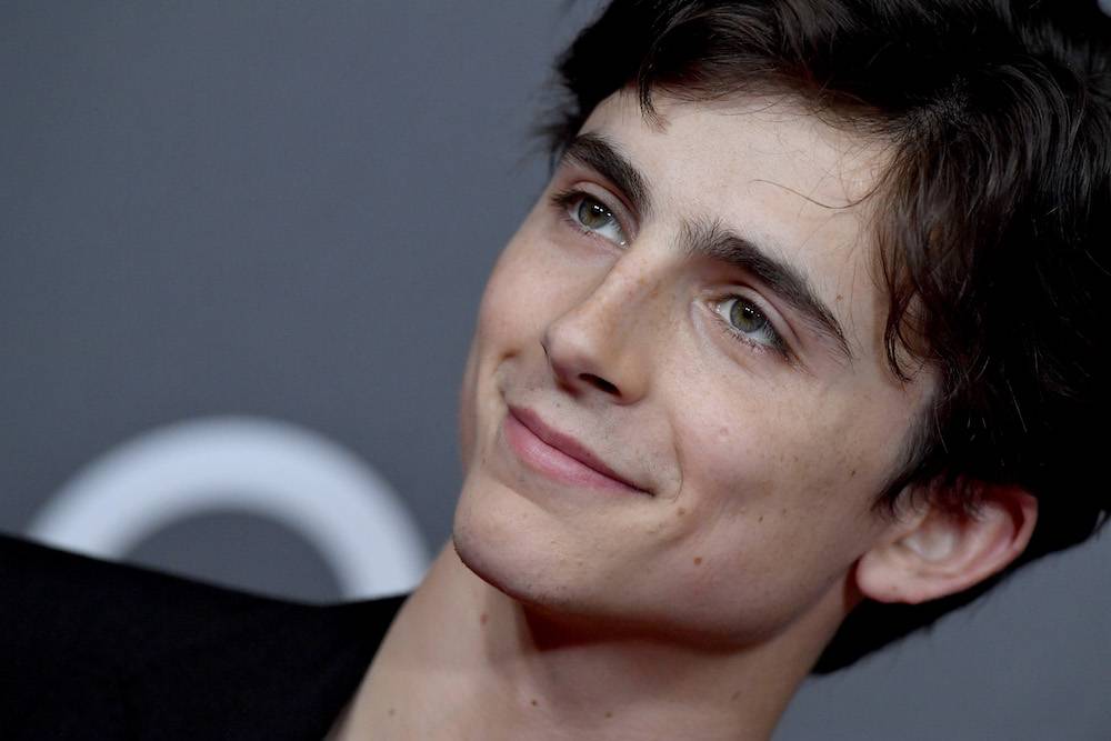 Timothée Chalamet (Fot. Getty Images)