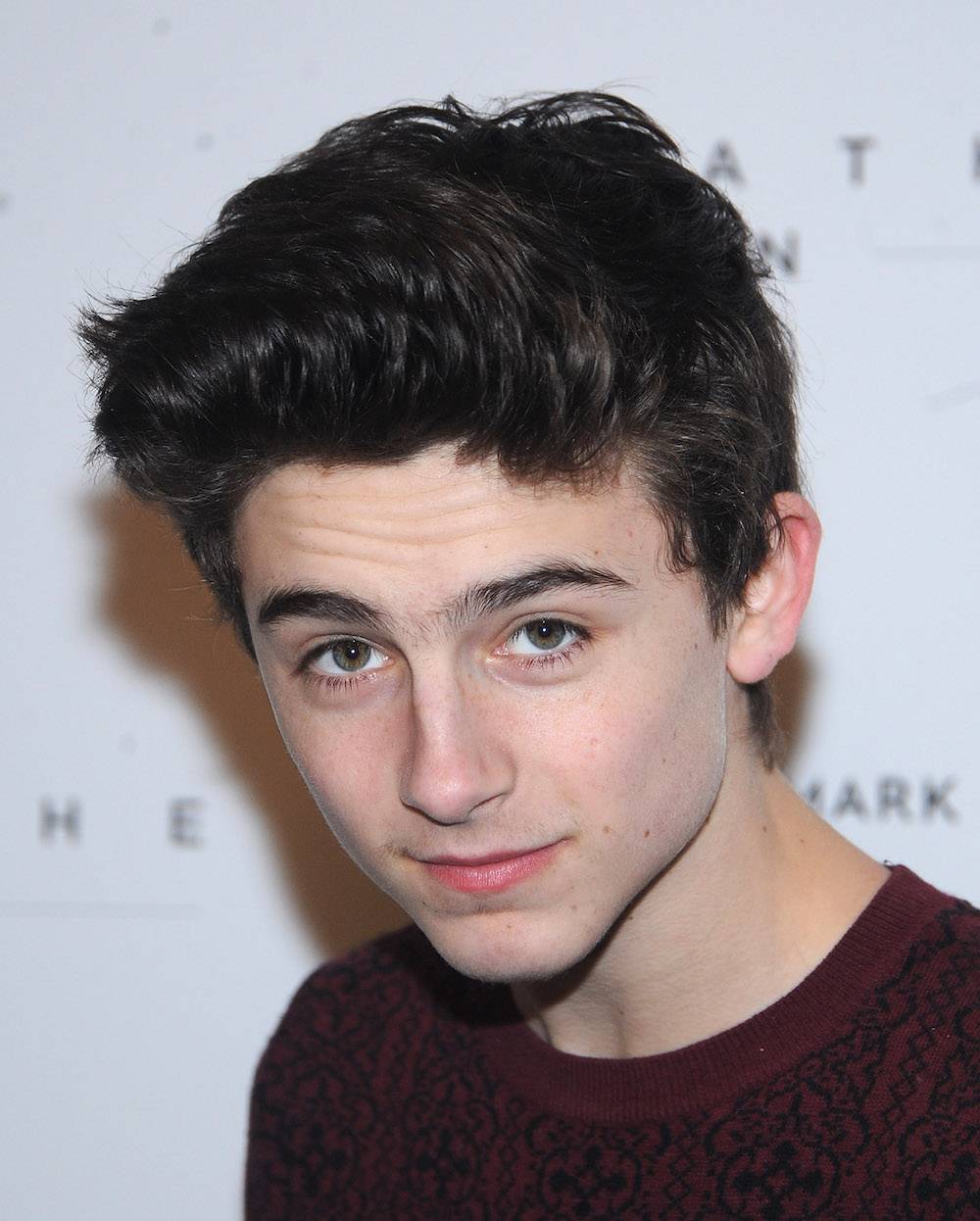 Timothée Chalamet (Fot. Getty Images)