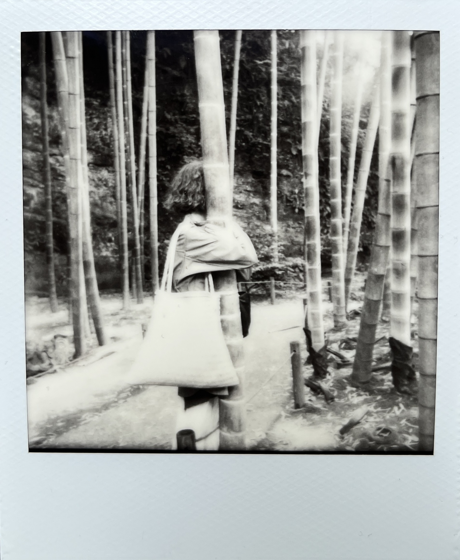 Fot. Paulina Puchalska