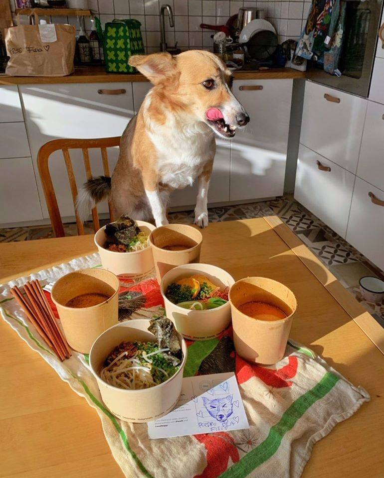 Vegan Ramen Shop (Fot. Materiały prasowe)