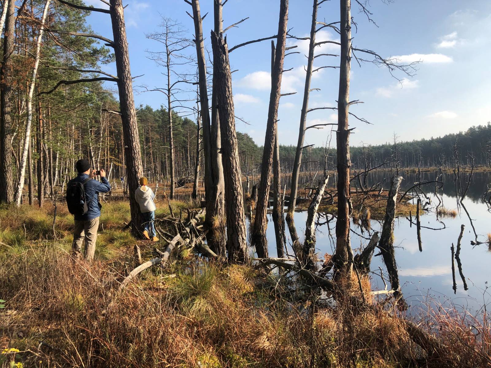 Goździkowe i Bocianowskie Bagno /(Fot. Agnieszka Kowalska)