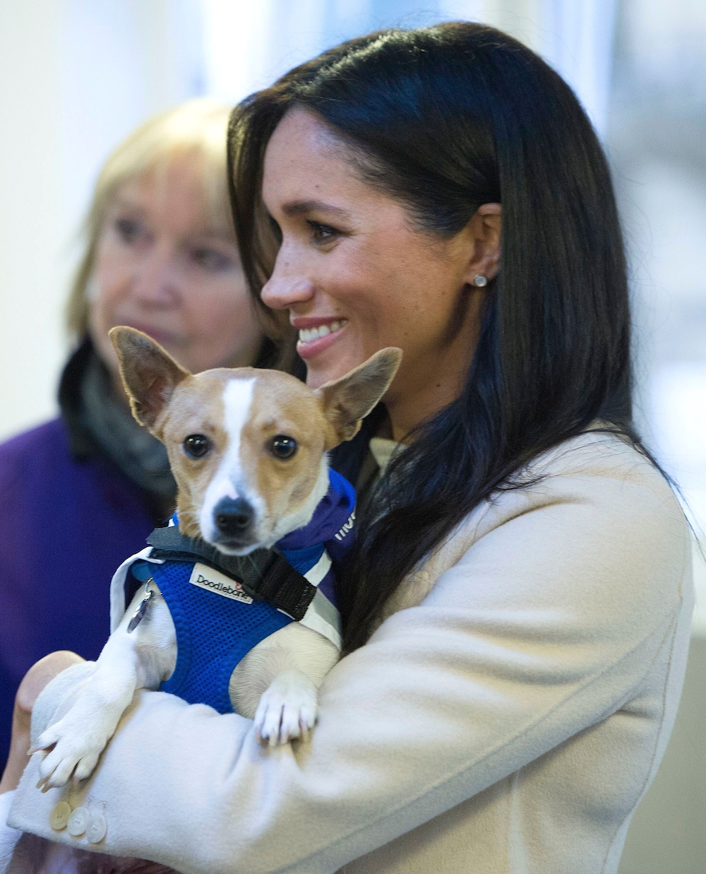 Meghan z Minnie, terierem ze schroniska (Fot. REX/Shutterstock/EastNews)