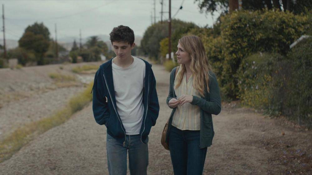Timothée Chalamet, Lily Rabe (Fot. materiały prasowe)