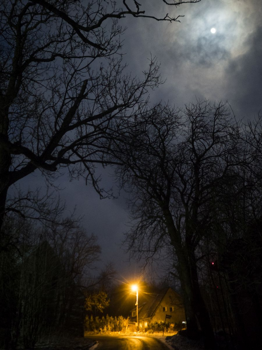 Dom (Fot. Filip Springer)
