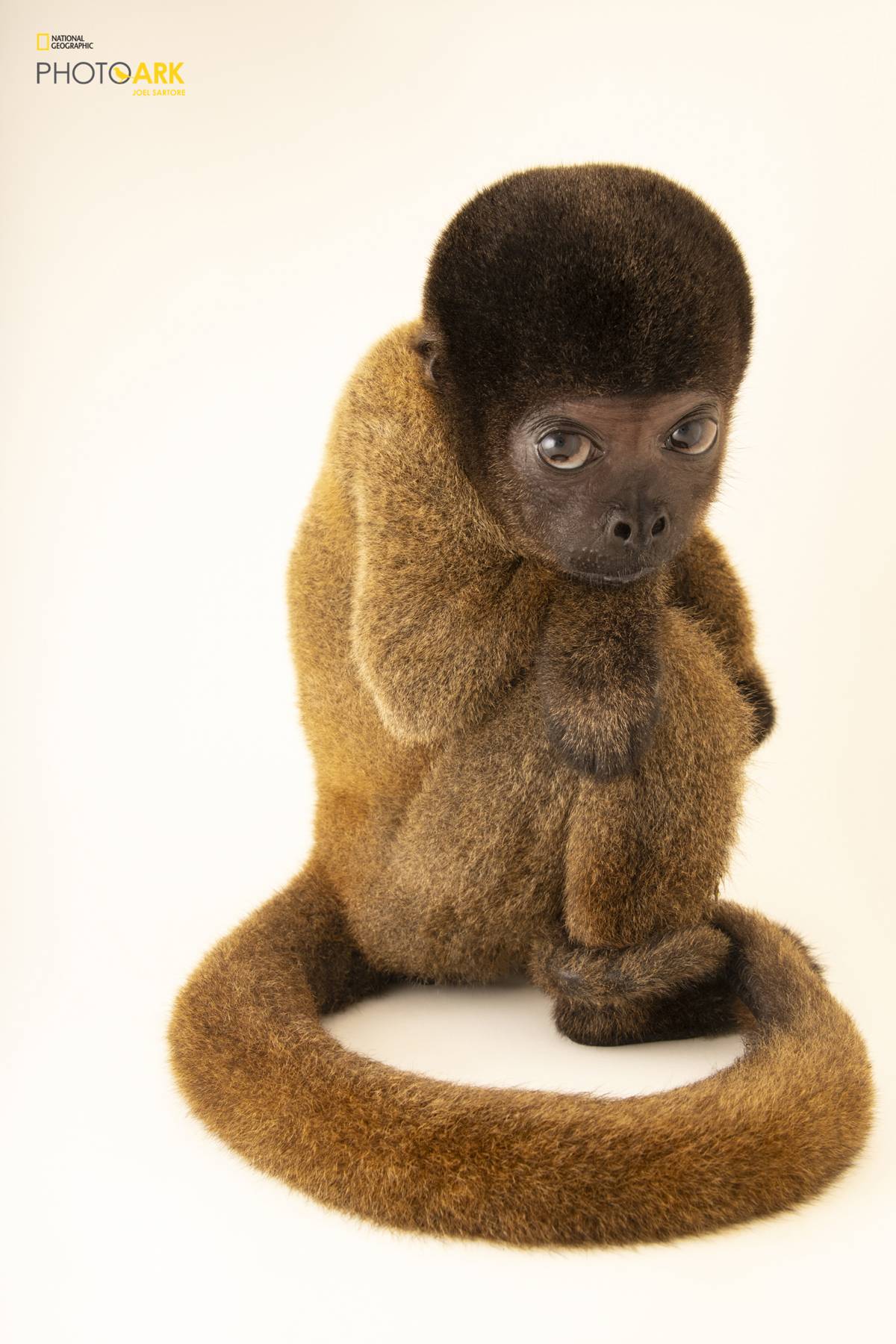(Fot. Joel Sartore, Materiały prasowe)