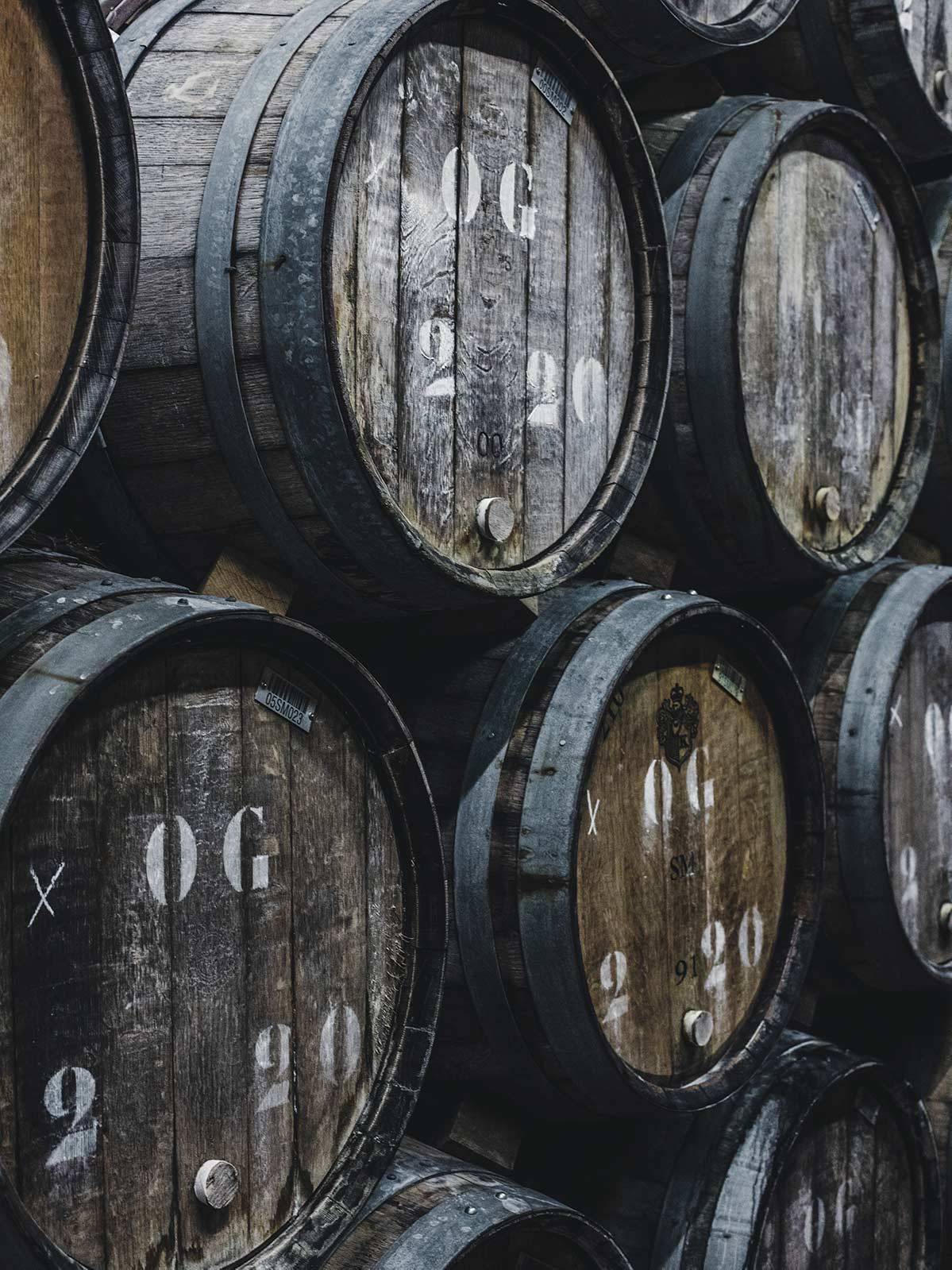 Dębowe beczki z winem podczas pierwszej fermentacji (Fot. Weronika Ławniczak)