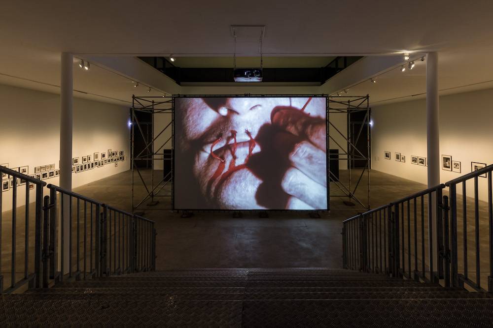 David Wojnarowicz, A Fire in My Belly, 1986–1987 (Fot. dzięki uprzejmości Electronic Arts Intermix (EAI), New York, zdjęcie: Frank Sperling)