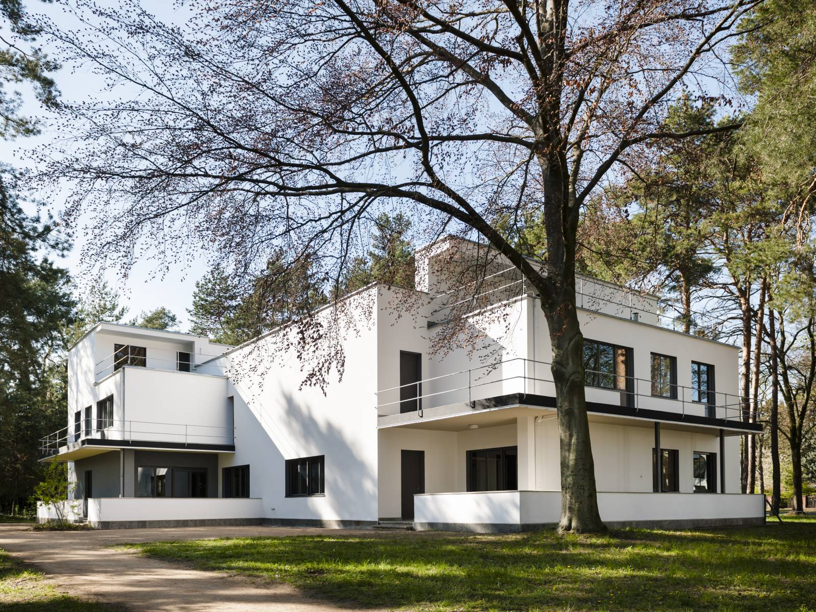 Domy mistrzów (Fot. Thomas Meyer)