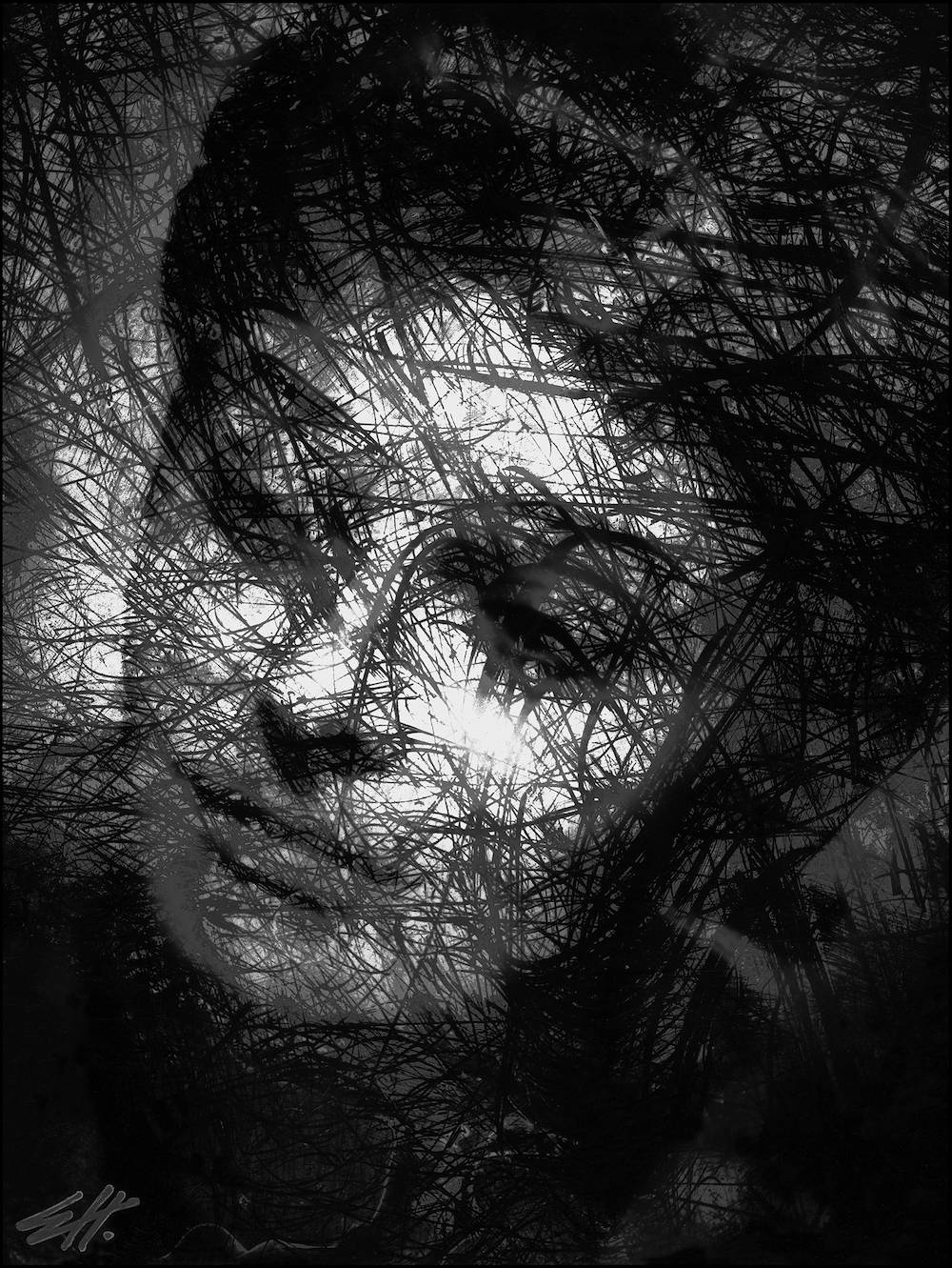 (Fot. Edward Hartwig)