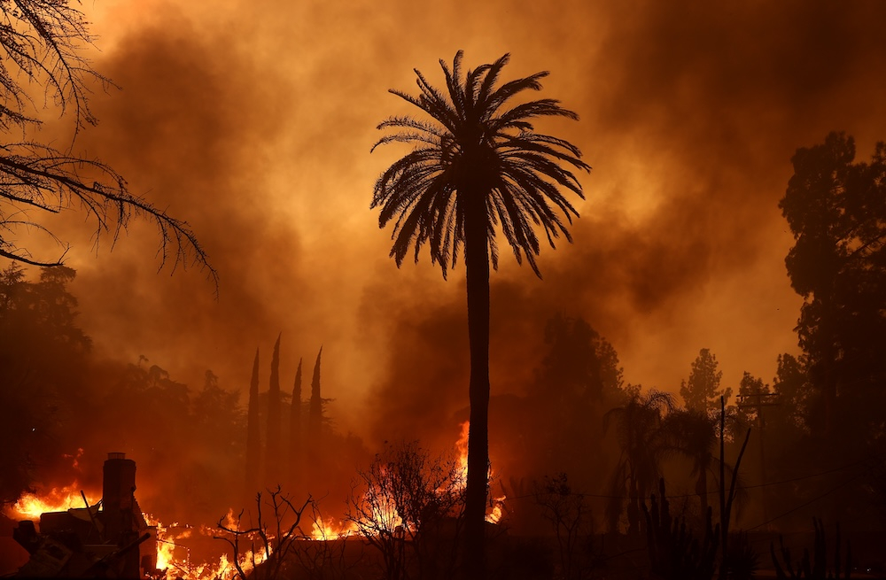 (Fot. Justin Sullivan/Getty Images)